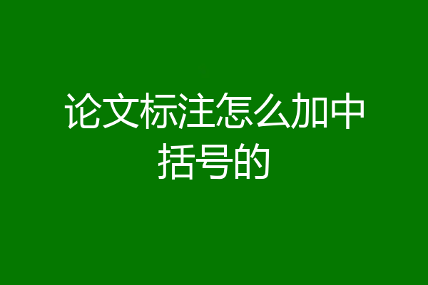 论文标注怎么加中括号的