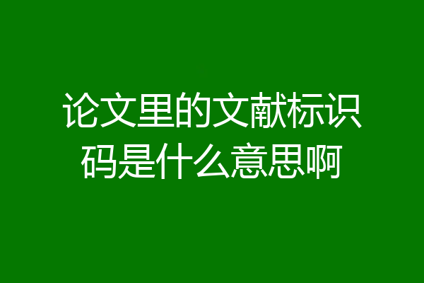 论文里的文献标识码是什么意思啊