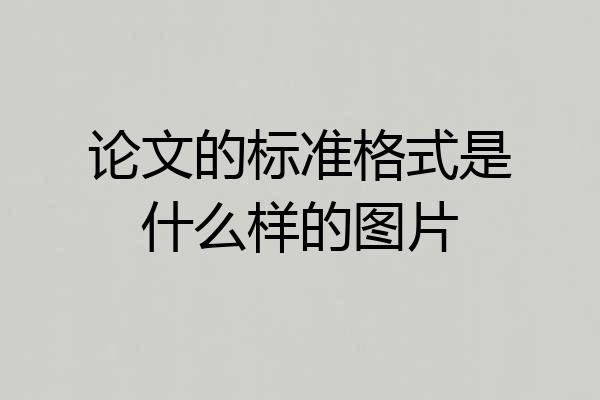 论文的标准格式是什么样的图片