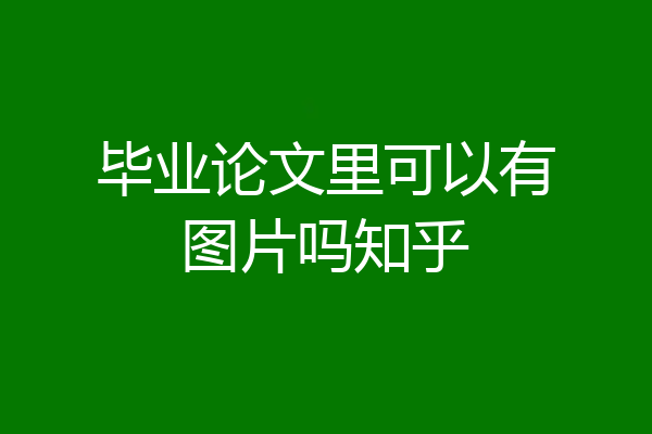 毕业论文里可以有图片吗知乎