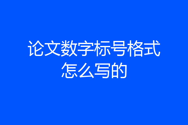 论文数字标号格式怎么写的