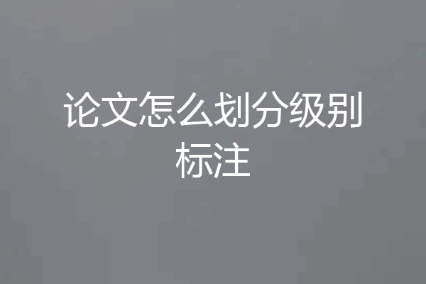 论文怎么划分级别标注