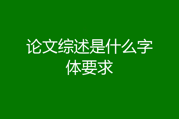 论文综述是什么字体要求