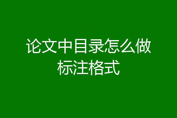 论文中目录怎么做标注格式