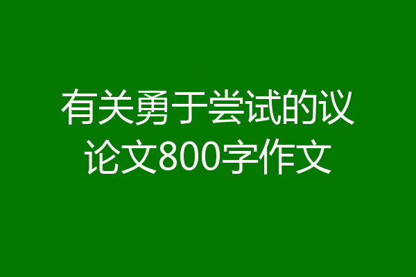 有关勇于尝试的议论文800字作文
