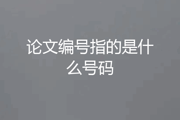 论文编号指的是什么号码