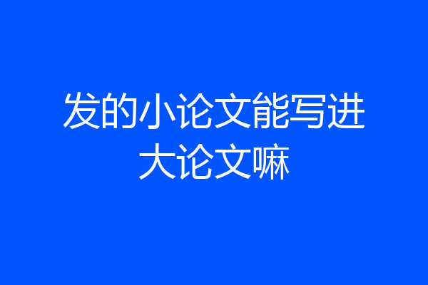 发的小论文能写进大论文嘛