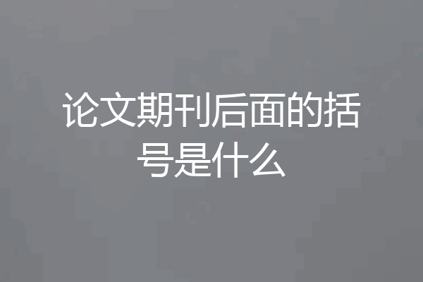 论文期刊后面的括号是什么