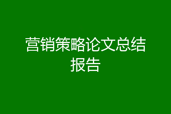 营销策略论文总结报告