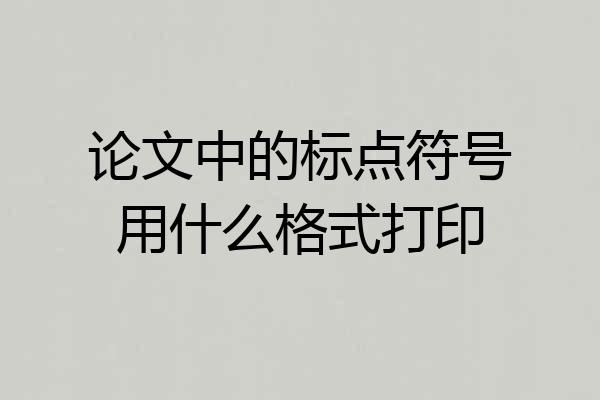 论文中的标点符号用什么格式打印