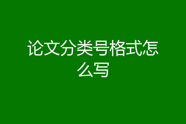 论文分类号格式怎么写