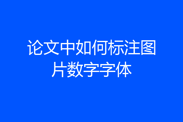 论文中如何标注图片数字字体