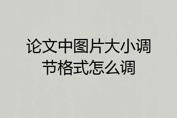 论文中图片大小调节格式怎么调