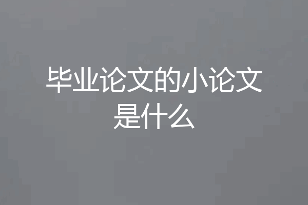 毕业论文的小论文是什么