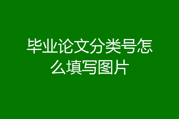 毕业论文分类号怎么填写图片