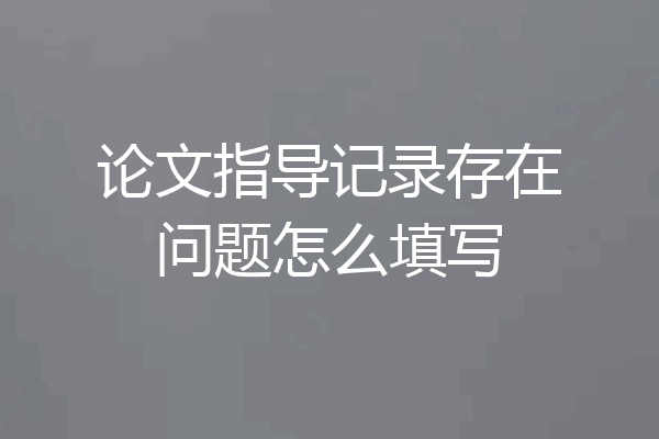 论文指导记录存在问题怎么填写