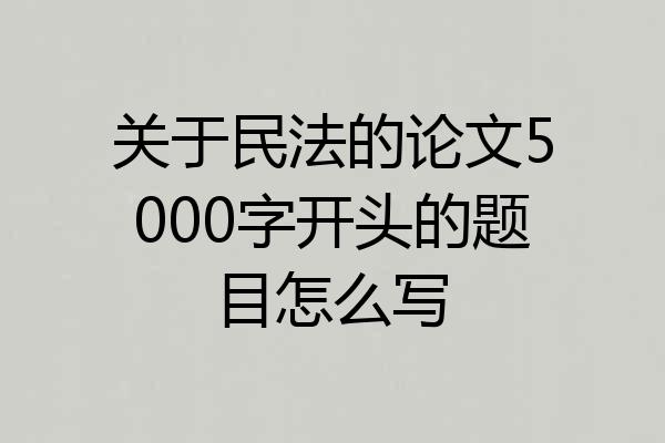 关于民法的论文5000字开头的题目怎么写