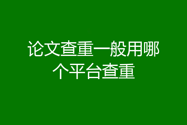 论文查重一般用哪个平台查重
