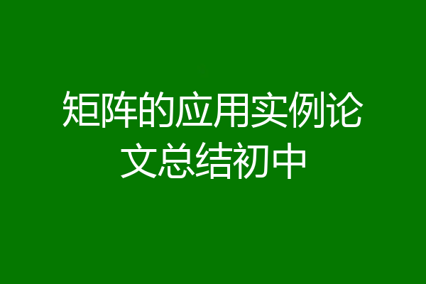 矩阵的应用实例论文总结初中