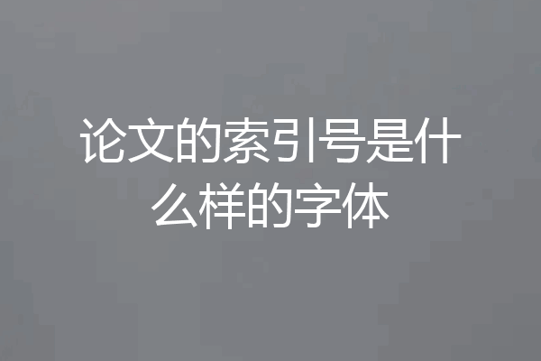 论文的索引号是什么样的字体