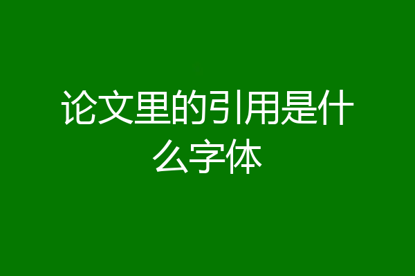 论文里的引用是什么字体