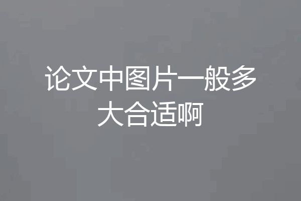 论文中图片一般多大合适啊