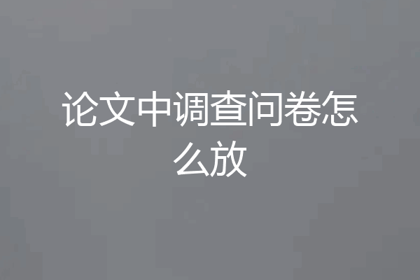 论文中调查问卷怎么放