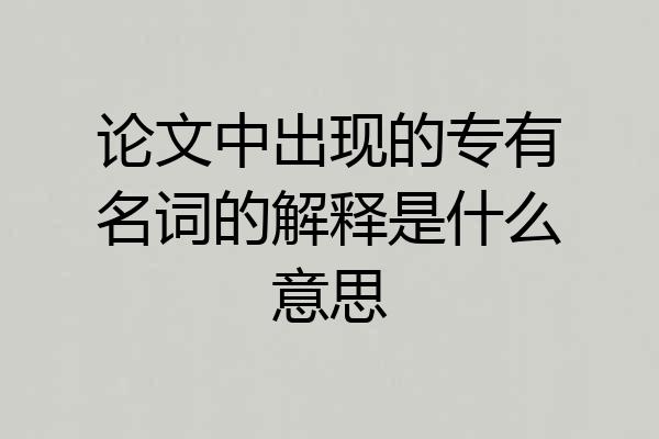 论文中出现的专有名词的解释是什么意思