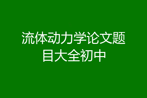流体动力学论文题目大全初中