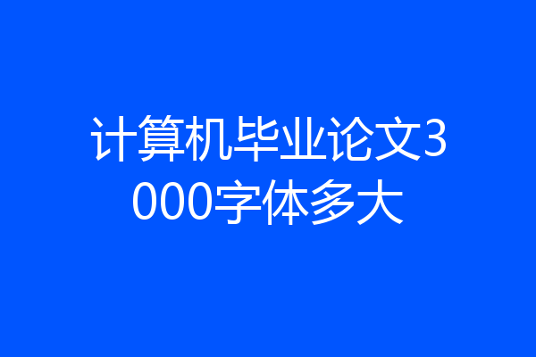 计算机毕业论文3000字体多大