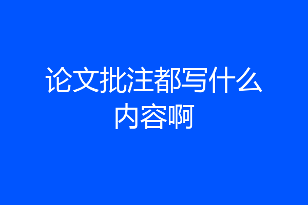 论文批注都写什么内容啊
