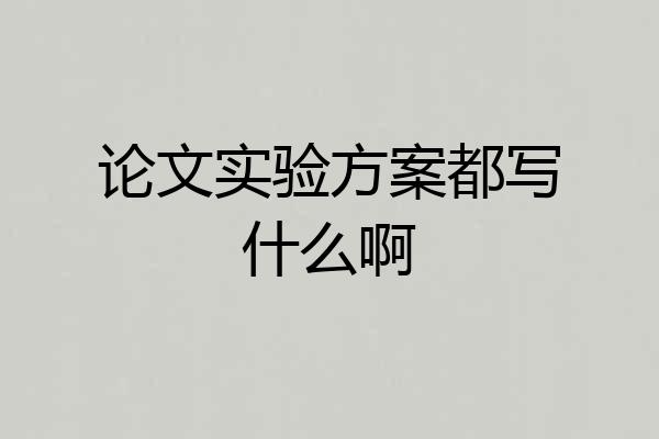 论文实验方案都写什么啊