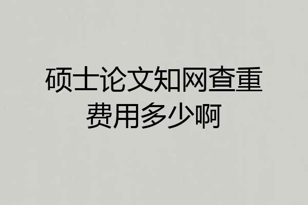 硕士论文知网查重费用多少啊