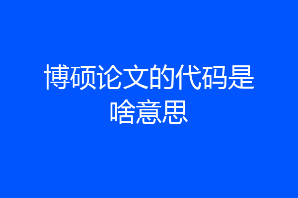 博硕论文的代码是啥意思