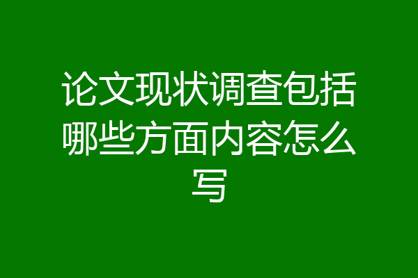 论文现状调查包括哪些方面内容怎么写