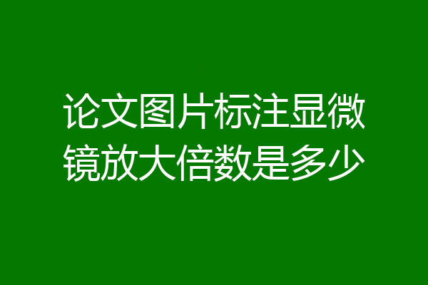论文图片标注显微镜放大倍数是多少
