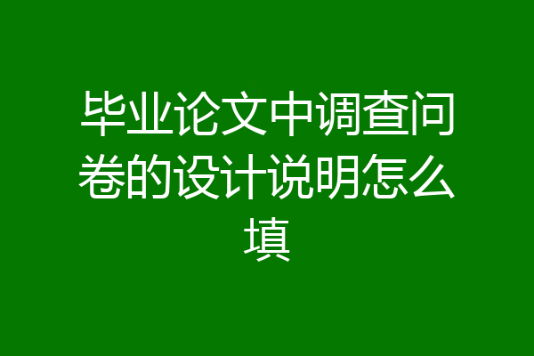 毕业论文中调查问卷的设计说明怎么填