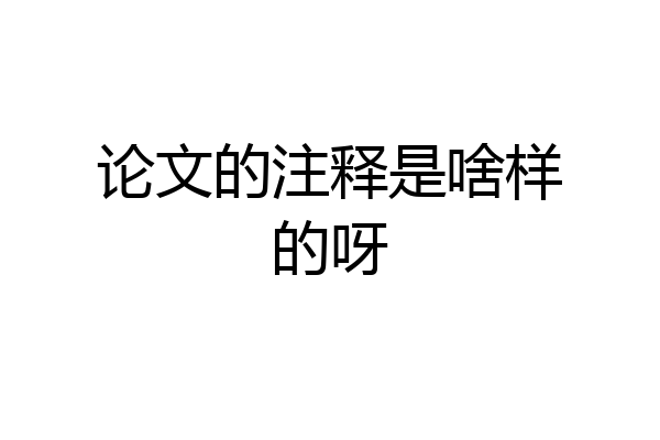 论文的注释是啥样的呀