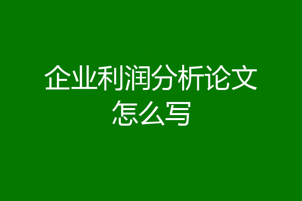 企业利润分析论文怎么写