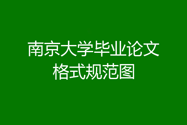 南京大学毕业论文格式规范图