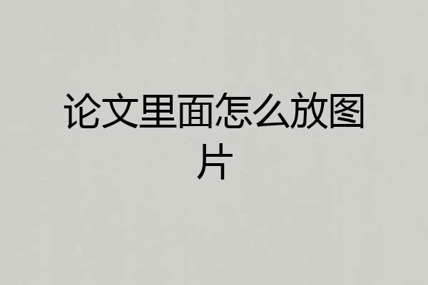 论文里面怎么放图片