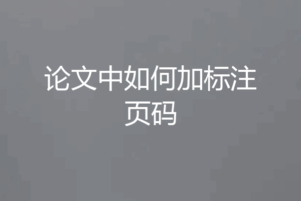 论文中如何加标注页码