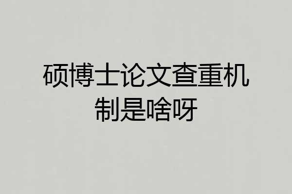 硕博士论文查重机制是啥呀