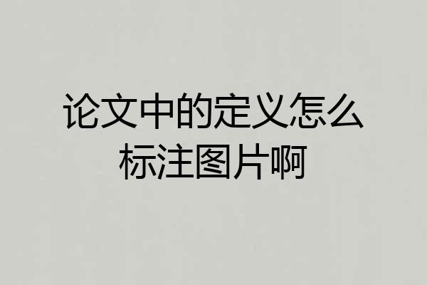 论文中的定义怎么标注图片啊