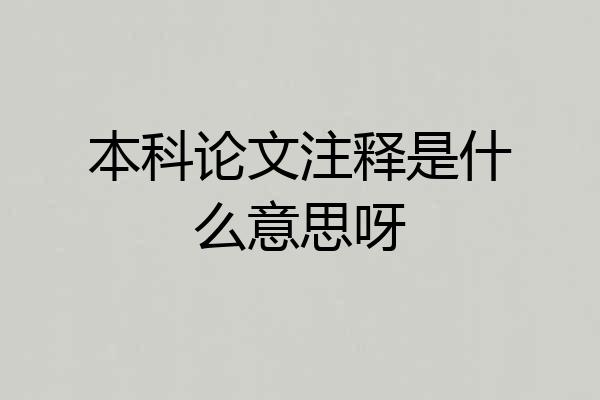 本科论文注释是什么意思呀