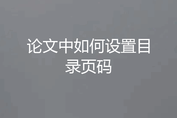 论文中如何设置目录页码