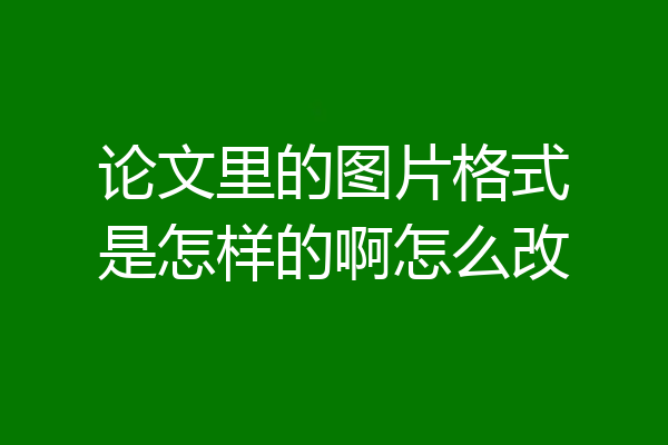 论文里的图片格式是怎样的啊怎么改