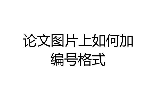 论文图片上如何加编号格式