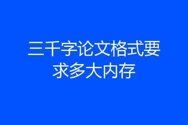 三千字论文格式要求多大内存