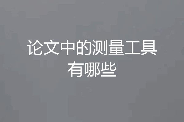 论文中的测量工具有哪些